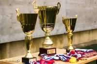 «Чемпионская Лига 2015»: чемпионат закончен